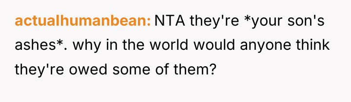 actuaIhumanbean NTA they're *your son's ashes*. why in the world...