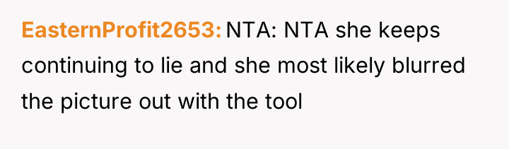 EasternProfit2653 NTA: NTA she keeps continuing to lie and she...
