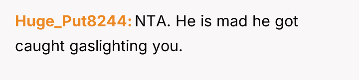 Huge_Put8244 NTA. He is mad he got caught gaslighting you.