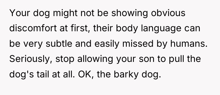 Your dog might not be showing obvious discomfort at first,...