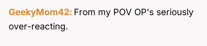 GeekyMom42 From my POV OP's seriously over-reacting.