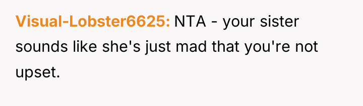 Visual-Lobster6625 NTA - your sister sounds like she's just mad...