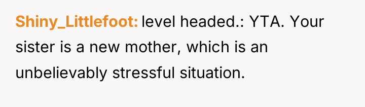 Shiny_Littlefoot level headed.: YTA. Your sister is a new mother,...