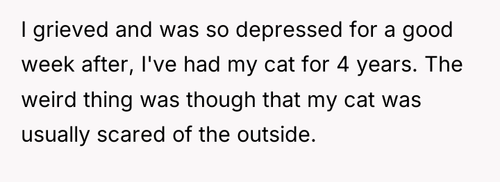 I grieved and was so depressed for a good week...