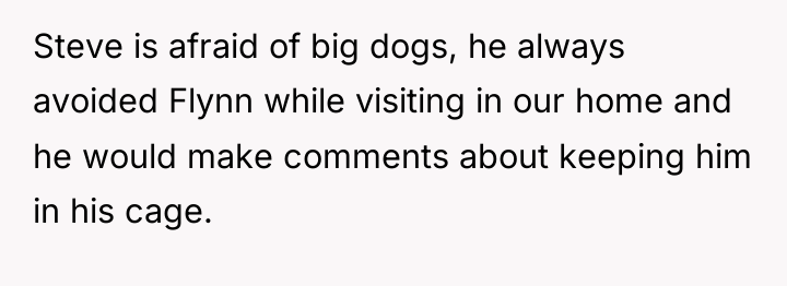 Steve is afraid of big dogs, he always avoided Flynn...