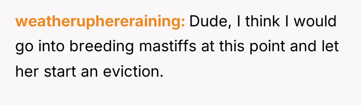 weatheruphereraining Dude, I think I would go into breeding mastiffs...