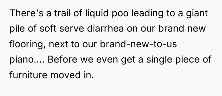 There's a trail of liquid poo leading to a giant...