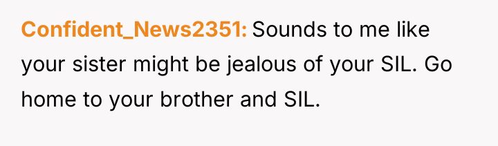 Confident_News2351 Sounds to me like your sister might be jealous...
