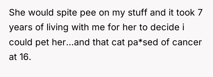 She would spite pee on my stuff and it took...