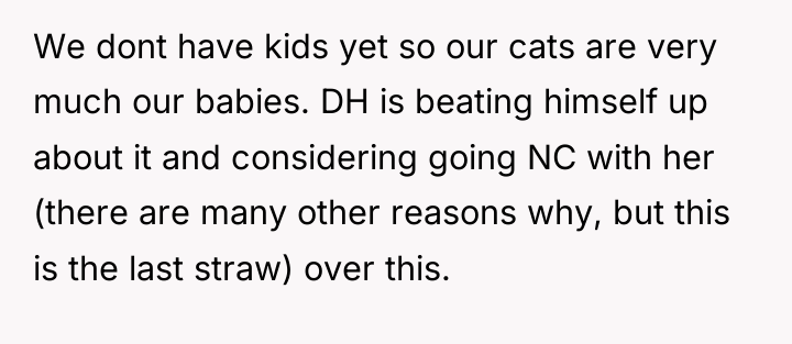 We dont have kids yet so our cats are very...
