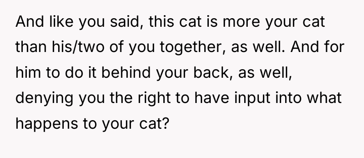 And like you said, this cat is more your cat...