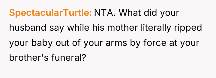 SpectacularTurtle NTA. What did your husband say while his mother...