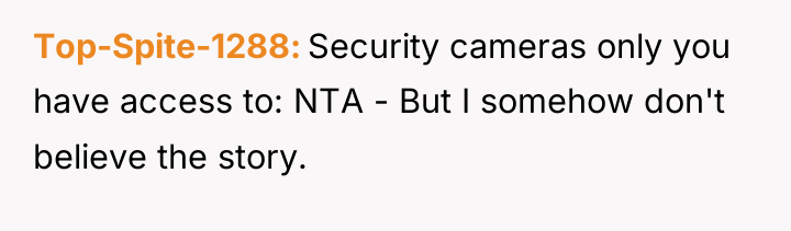 Top-Spite-1288 Security cameras only you have access to: NTA -...