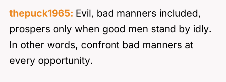 thepuck1965 Evil, bad manners included, prospers only when good men...