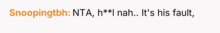 Snoopingtbh NTA, h**l nah.. It's his fault,