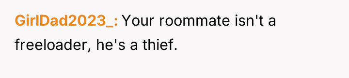 GirlDad2023_ Your roommate isn't a freeloader, he's a thief.