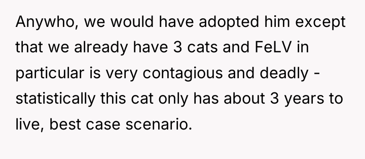 Anywho, we would have adopted him except that we already...