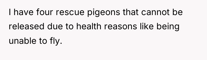 I have four rescue pigeons that cannot be released due...