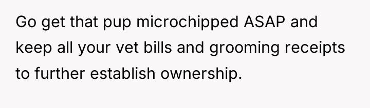 Go get that pup microchipped ASAP and keep all your...