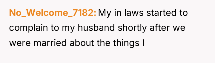 No_Welcome_7182 My in laws started to complain to my husband...