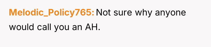Melodic_Policy765 Not sure why anyone would call you an AH.