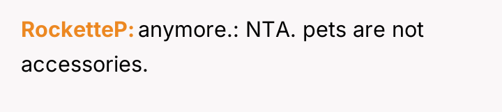RocketteP anymore.: NTA. pets are not accessories.