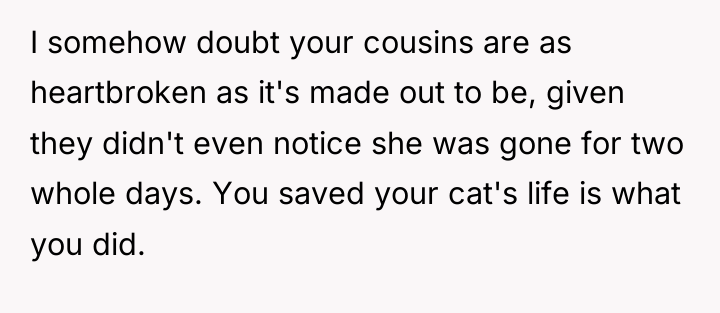 I somehow doubt your cousins are as heartbroken as it's...