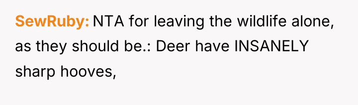 SewRuby NTA for leaving the wildlife alone, as they should...