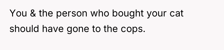 You & the person who bought your cat should have...