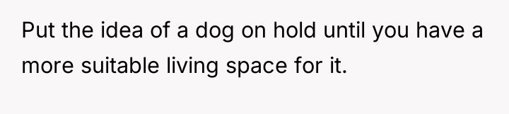 Put the idea of a dog on hold until you...