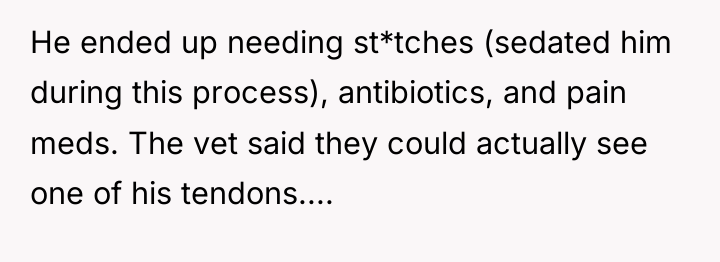 He ended up needing st*tches (sedated him during this process),...