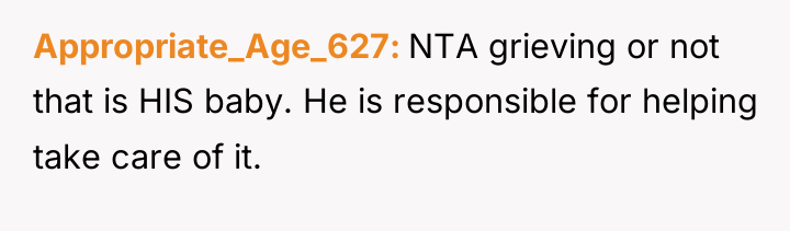 Appropriate_Age_627 NTA grieving or not that is HIS baby. He...