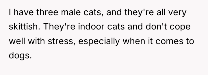I have three male cats, and they're all very skittish....