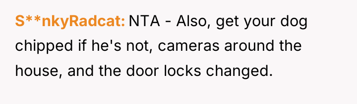 S**nkyRadcat NTA - Also, get your dog chipped if he's...