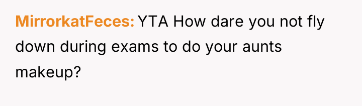 MirrorkatFeces YTA How dare you not fly down during exams...