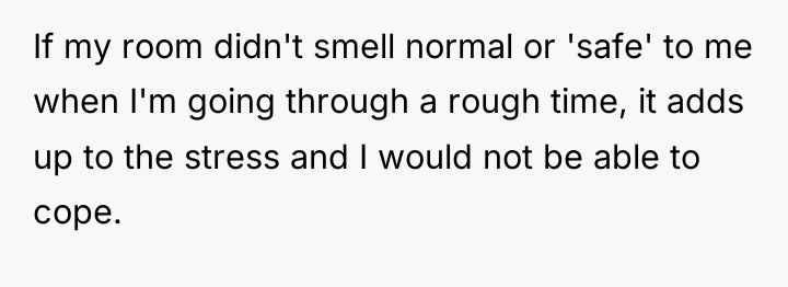 If my room didn't smell normal or 'safe' to me...