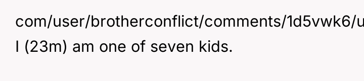 com/user/brotherconflict/comments/1d5vwk6/update_3_wibta_if_i_skipped_my_sisters_wedding/) I (23m) am one of seven kids.