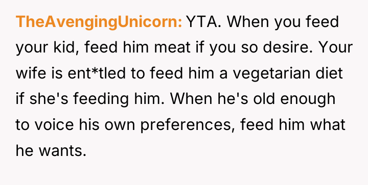 TheAvengingUnicorn YTA. When you feed your kid, feed him meat...