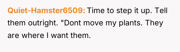Quiet-Hamster6509 Time to step it up. Tell them outright. "Dont...
