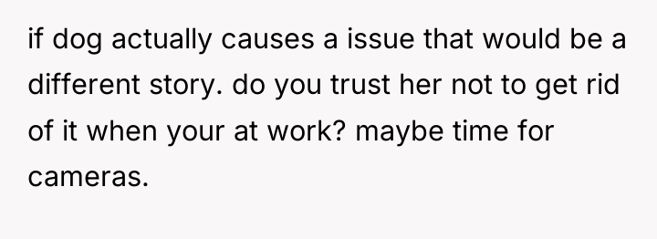 if dog actually causes a issue that would be a...