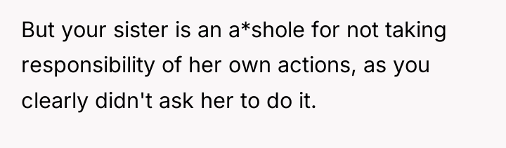But your sister is an a*shole for not taking responsibility...