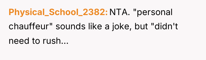 Physical_School_2382 NTA. "personal chauffeur" sounds like a joke, but "didn't...