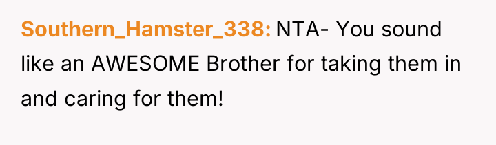 Southern_Hamster_338 NTA- You sound like an AWESOME Brother for taking...