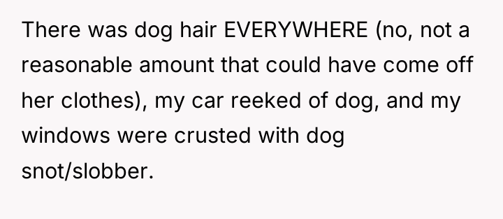 There was dog hair EVERYWHERE (no, not a reasonable amount...