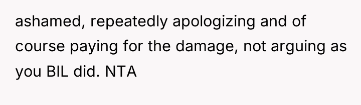 ashamed, repeatedly apologizing and of course paying for the damage,...
