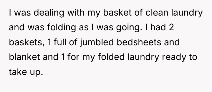 I was dealing with my basket of clean laundry and...