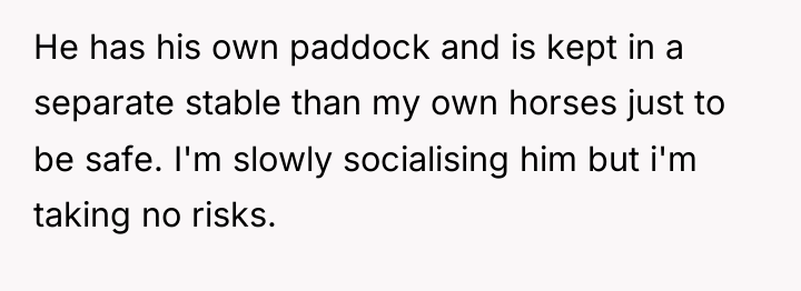 He has his own paddock and is kept in a...