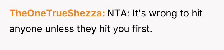 TheOneTrueShezza NTA: It's wrong to hit anyone unless they hit...