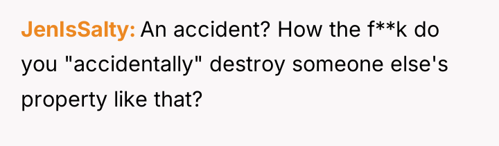 JenIsSalty An accident? How the f**k do you "accidentally" destroy...