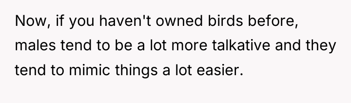 Now, if you haven't owned birds before, males tend to...